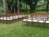 natural tiffany chairs with white cushion 