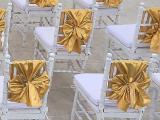 tiffany chairs dengan gold ribbon 