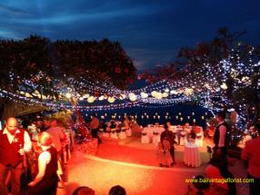 Fairy light on the trees