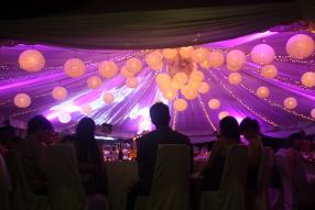 Fairy Light combination 