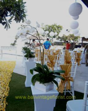 phalaenopsis standing flower 